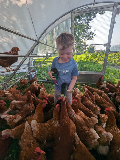 Pasture-Raised Eggs