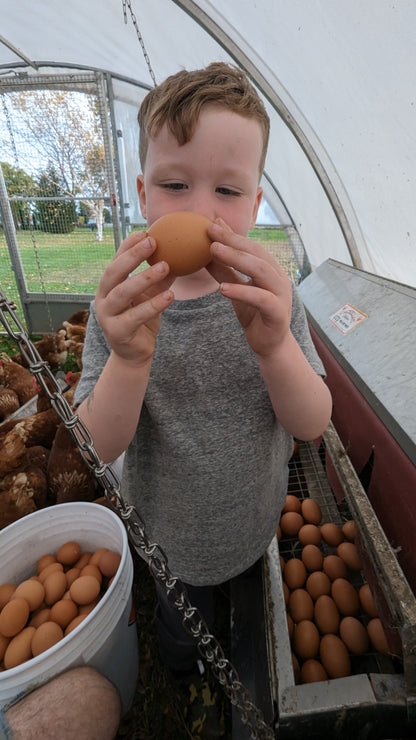 Pasture-Raised Eggs