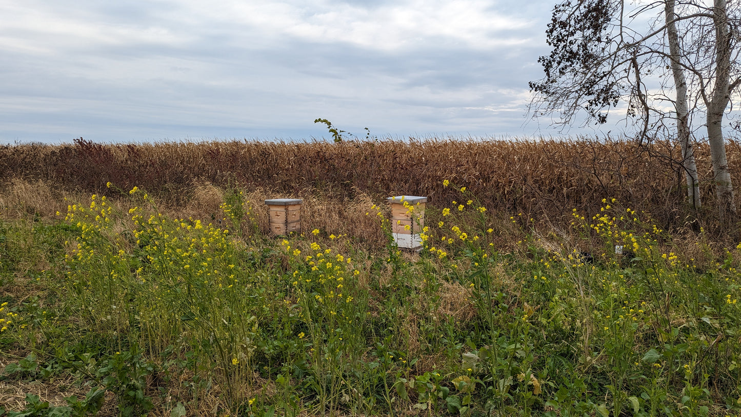 Raw Unpasteurized Honey